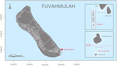 Identification of the first gestational ground for tiger sharks (Galeocerdo cuvier) in the Central Indian Ocean using a high-definition submersible ultrasound